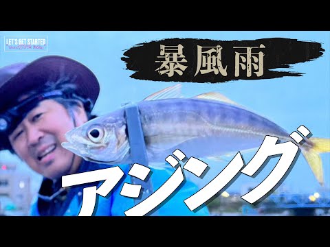 🔰アジング【暴風雨でも釣る！】 Vlog.134 Take her AJING Fishing