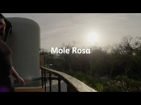 Mole Rosa | ColorLife TRENDS 2025