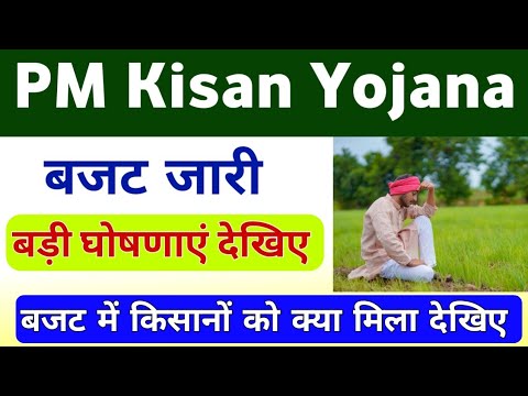 PM Kisan Yojana Budget 2024-25 | PM Kisan Samman Nidhi Yojana Budget Update | Mahi Info