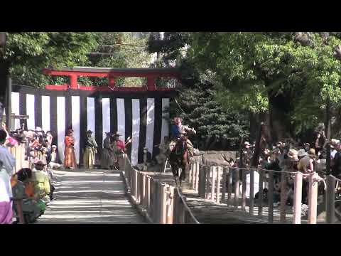 令和5年鶴岡八幡宮例大祭流鏑馬神事、山川雅之さんレオ号