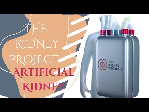 Watch full How to transplant kidney | Kidney project | Kidney Transplant | kidney kase krte hai |