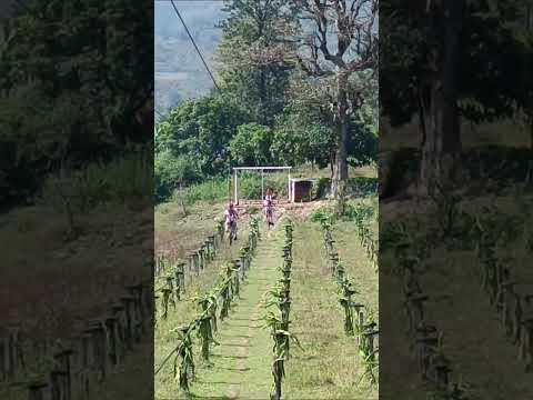 Sky Cycling in Araku