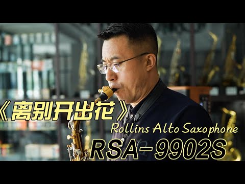 《离别开出花》--Rollins Saxophone Alto-9902S（Cover By Mr.Liu）