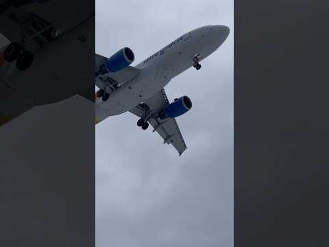 Allegiant airlines landing overhead