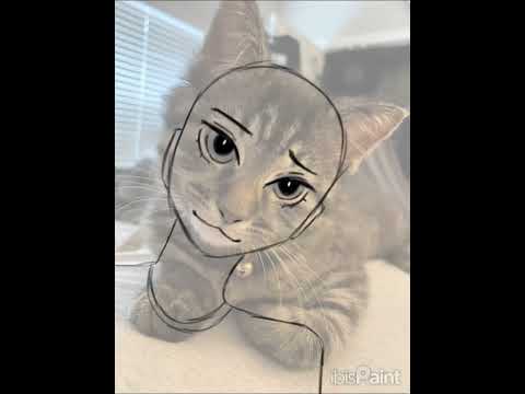 CAT FACE THEORY | #fypage #edit #shortsfeed #art #digitalart #fypシ゚viral #6arelyhuman #youtubeshorts