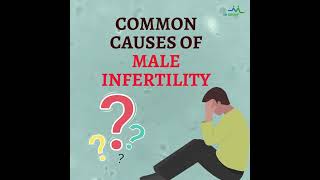 What are the common types of male infertility?