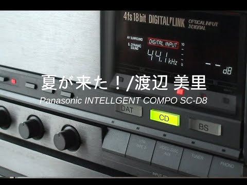 1989年 ﾊﾞﾌﾞﾙｺﾝﾎﾟ 貴重なガンメタインテリジェントSC-D8を、世界でひとつだけの最強D8へ‼ Panasonic SC－D8カーボンウーハー仕様‼　曲は、夏が来た！/渡辺 美里で‼