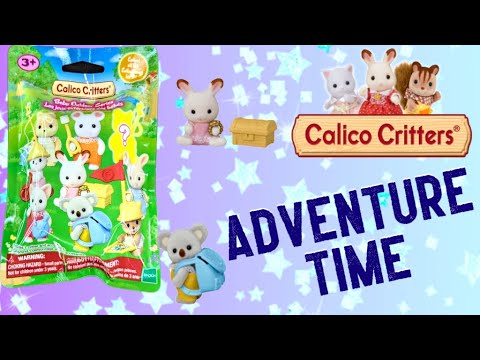 A Map and a Treasure! | Calico Critters Baby Outdoor Series | 5 Below Finds | Adult Collector Review