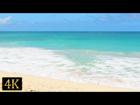 4K Summer Beach Ambience: Ocean Sounds for Relaxation and Stress Relief