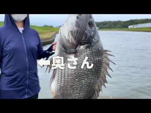 奥さんでもかんたんに黒鯛が釣れる釣り方