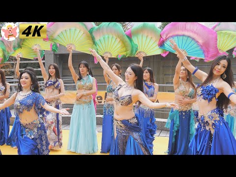 【4K】ベリーダンス　Live!横浜YOKOHAMA 2024 #10 Belly Dance in Japan　2024