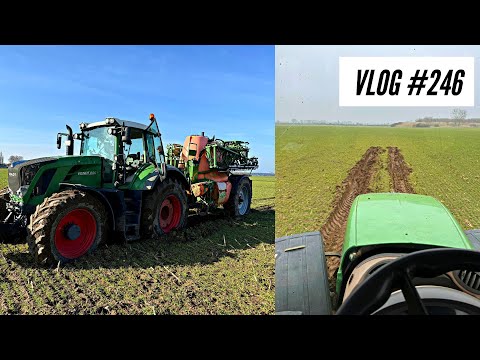 Vlog #246 Difficult conditions also for direct sowing?