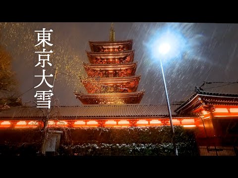 【4K HDR Snowfall 】Heavy snowfall in downtown Tokyo #東京 #snow #blizzard