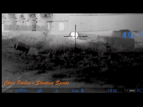 Pulsar Thermion 2 XP50 Ratting on the Air Arms, THERMAL IMAGING