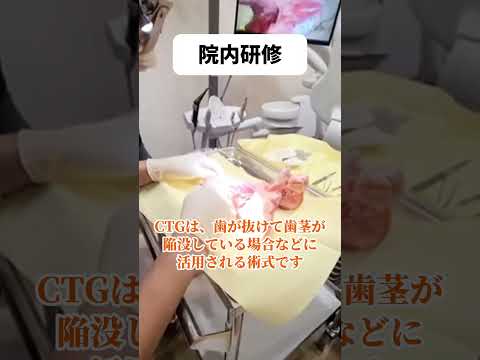 【結合組織移植術】院内研修の様子#shorts #歯医者 #歯科