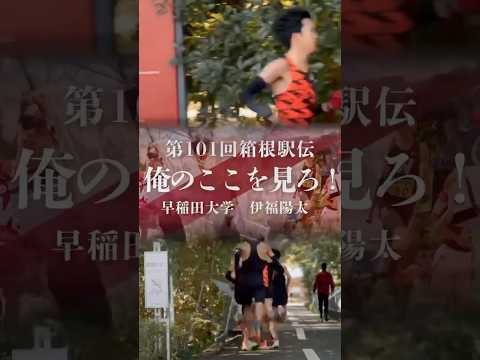 【俺のここを見ろ！～伊福陽太～】#早稲田大学競走部 #箱根駅伝