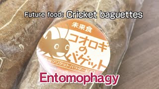 NEWS ONE　MIRAI NO NEWS　Crickets Will Save the World　ミライノニュース　「食料危機を救うコオロギ」（英語）