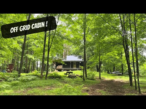 Summer Day At The Cabin!