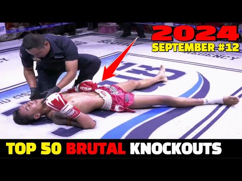 Top 50 Brutal Knockouts September 2024 #12 (MMA•Muay Thai•Boxing•Kun Khmer)