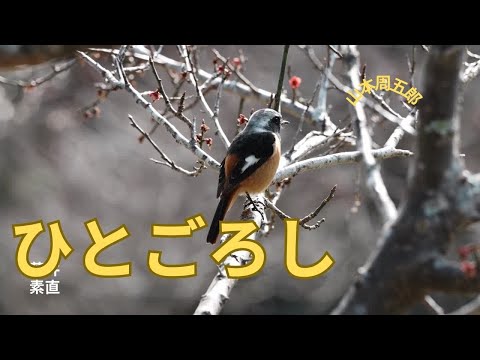 【人情時代劇】【朗読】ひとごろし   山本周五郎作　朗読　芳井素直