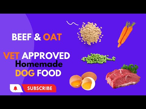 Beef and Oat Homemade vet approved easy to cook Human grade dog food | blogsbyibrar