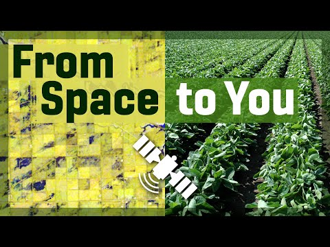 Satellite data: From space to you