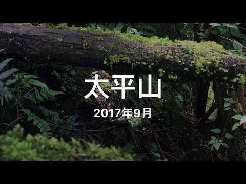 台灣太平山 見情懷古步道 翠峰湖