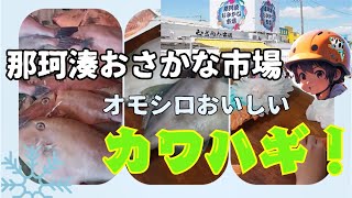 【那珂湊おさかな市場】魚市場で魚を買おう！オモシロおいしい魚　カワハギのさばき方