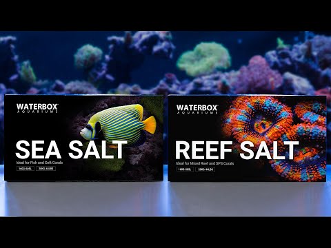 Marine Salts by Waterbox Aquariums