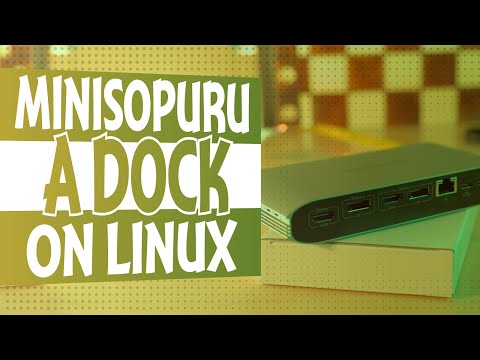 Professional (Linux too) Dock by Minisopuru