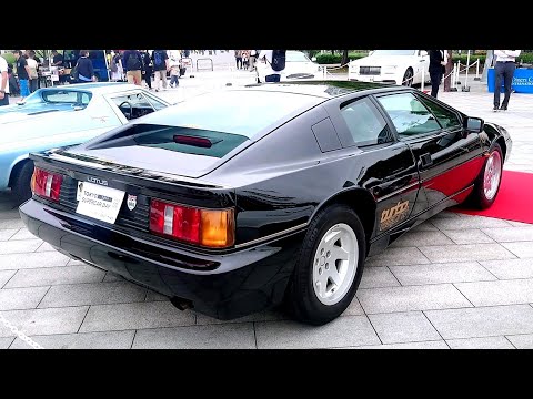 Lotus Esprit Turbo HC【ロータス エスプリ ターボ HC】TOKYO SUPERCAR DAY 2024