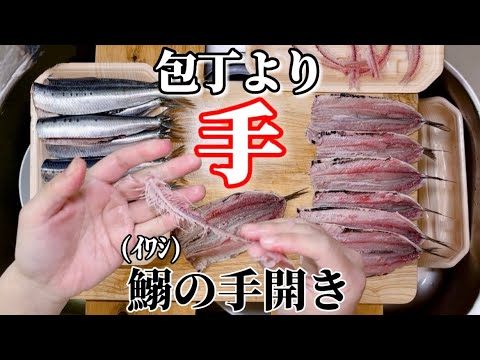 イワシの捌き方【手開き】包丁より適してる理由を超解説！