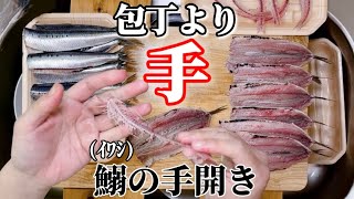 イワシの捌き方【手開き】包丁より適してる理由を超解説！