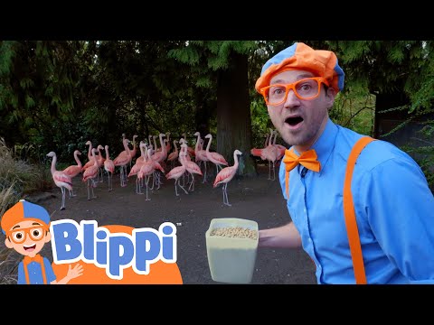 Blippi Feeds and Plays With the Zoo Animals! | Kids Cartoons | Party Playtime!