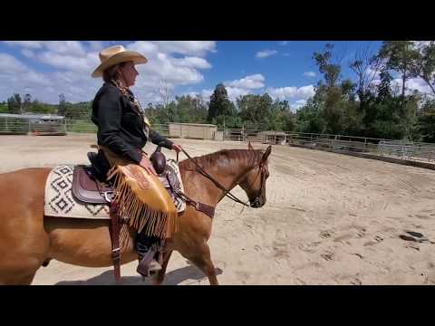 Dun Rattlin & Jennifer Lyons Amateur walk/trot ranch riding