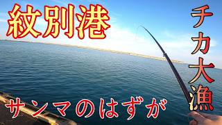 【チカ釣り】紋別港でサンマ釣りのはずが刺身サイズの大チカ連発！