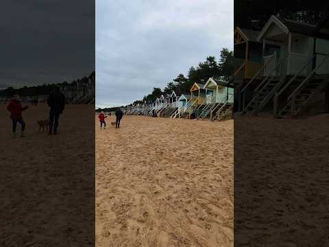 Christmas Day Beach Walk #wellsnextthesea #norfolk #christmastraditions