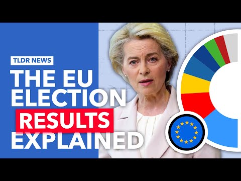 The EU Parliament Election Results Explained