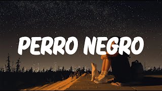 Bad Bunny x Feid - PERRO NEGRO (Letra/Lyrics)