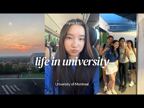 life in university: summer camp, dorm life, friends, studying