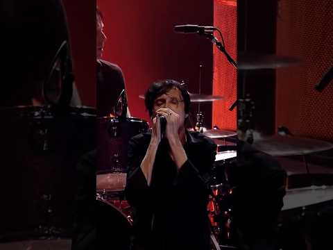 Pantomime Horse - Live at the Royal Albert Hall, 2010 #Suede