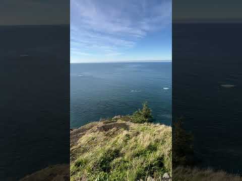 Amazing Oregon Coast. #viralvideo #oregoncoast #pacificocean