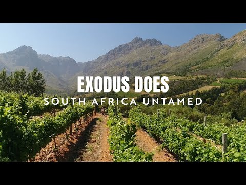 EXODUS DOES South Africa Untamed