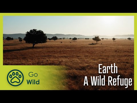 Earth: A Wild Refuge | Go Wild