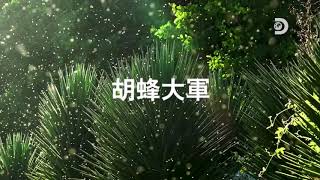 【myVideo線上看】Discovery 經典節目《原始生活21天》 第四季 精采預告