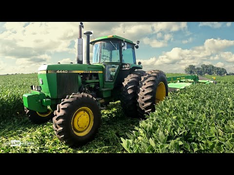 Mowing SOYBEANS for HAY! - Land Improvement projects in a DROUGHT!