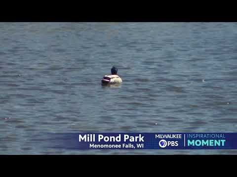 Milwaukee PBS Presents | Inspirational Moments | Mill Pond Park