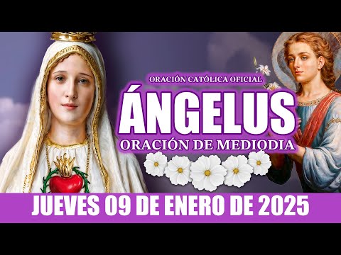 Ángelus de Hoy JUEVES 09 DE ENERO DE 2025 ORACIÓN DE MEDIODÍA