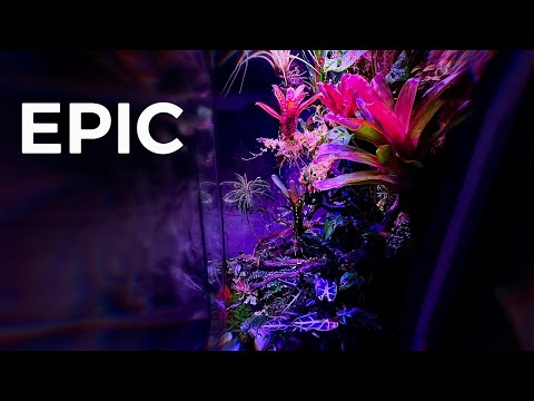 Cannibal Jungle in my Bedroom || Paludarium Update