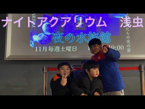 ナイトアクアリウム（浅虫水族館）に行ってみた！